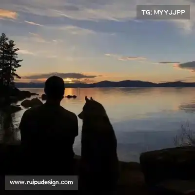 秦祺